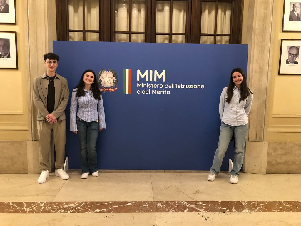 MIM 3